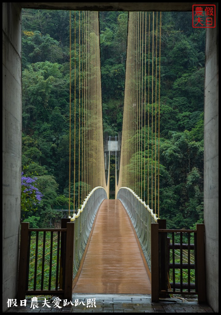 從跨河空中觀瀑平台近距離欣賞竹山第一美瀑瑞龍瀑布的美景 @假日農夫愛趴趴照