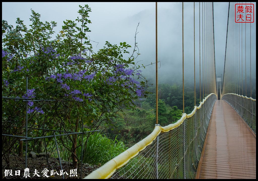 從跨河空中觀瀑平台近距離欣賞竹山第一美瀑瑞龍瀑布的美景 @假日農夫愛趴趴照