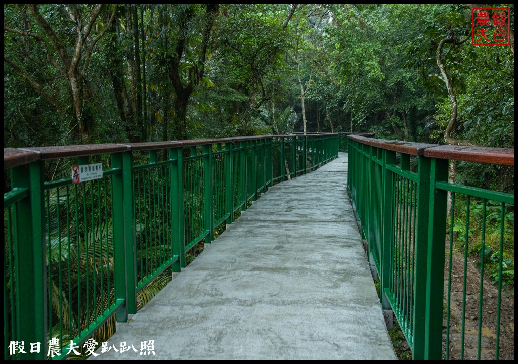 從跨河空中觀瀑平台近距離欣賞竹山第一美瀑瑞龍瀑布的美景 @假日農夫愛趴趴照