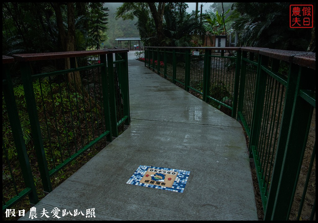 從跨河空中觀瀑平台近距離欣賞竹山第一美瀑瑞龍瀑布的美景 @假日農夫愛趴趴照