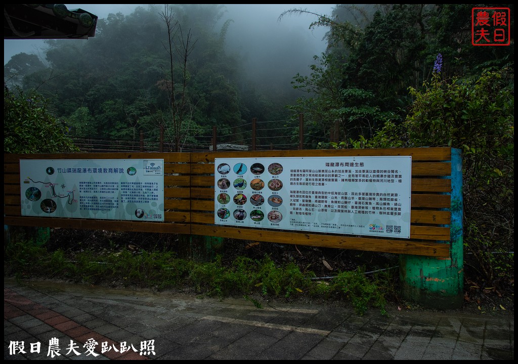 從跨河空中觀瀑平台近距離欣賞竹山第一美瀑瑞龍瀑布的美景 @假日農夫愛趴趴照