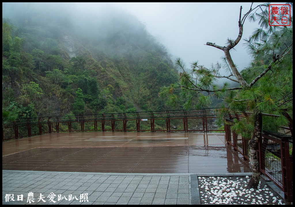 從跨河空中觀瀑平台近距離欣賞竹山第一美瀑瑞龍瀑布的美景 @假日農夫愛趴趴照