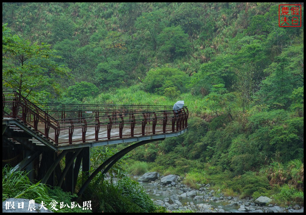 從跨河空中觀瀑平台近距離欣賞竹山第一美瀑瑞龍瀑布的美景 @假日農夫愛趴趴照