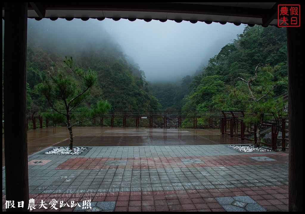 從跨河空中觀瀑平台近距離欣賞竹山第一美瀑瑞龍瀑布的美景 @假日農夫愛趴趴照