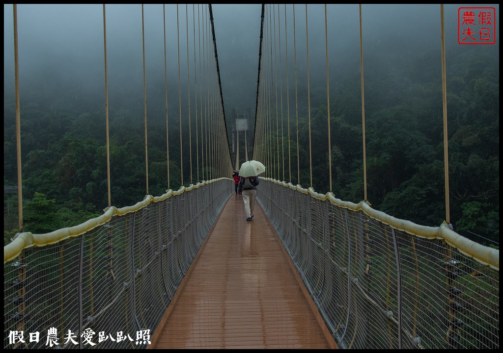 從跨河空中觀瀑平台近距離欣賞竹山第一美瀑瑞龍瀑布的美景 @假日農夫愛趴趴照