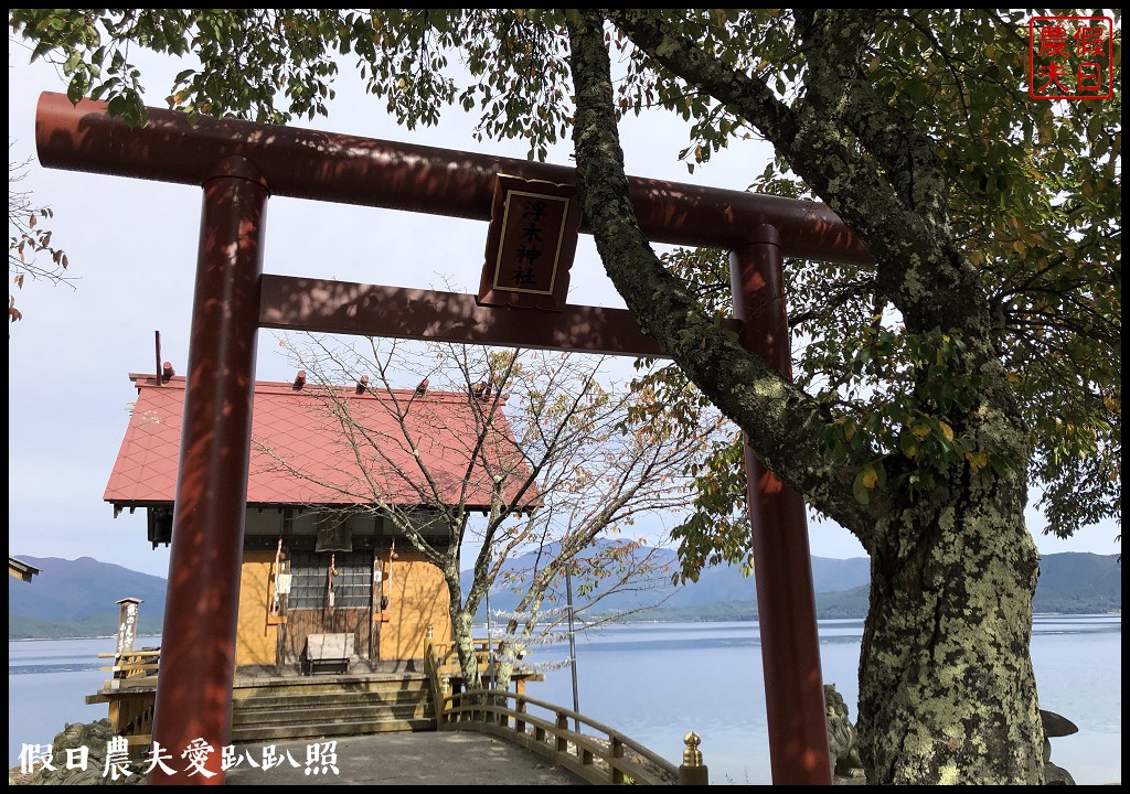 秋田縣旅遊提案|包車深度微旅或是自駕遊都很適合/竿燈祭/秋田犬 @假日農夫愛趴趴照