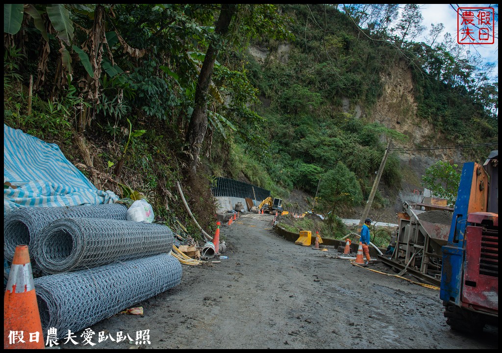 草嶺櫻花季|世界第一的咖啡與美麗櫻花相遇在青山坪咖啡農場 @假日農夫愛趴趴照