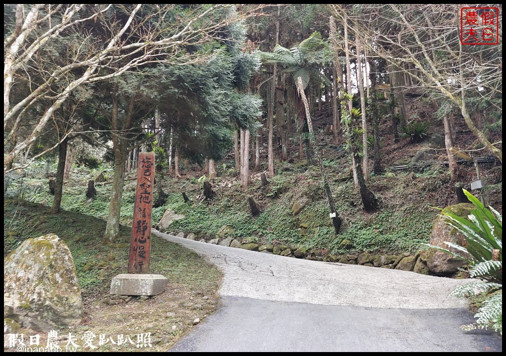 寒溪呢森林人文叡地|福爾摩沙白櫻緋寒櫻盛開 @假日農夫愛趴趴照