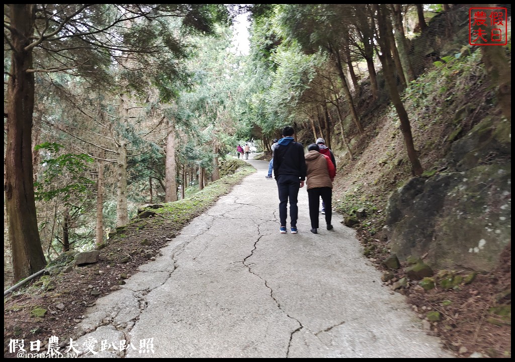 寒溪呢森林人文叡地|福爾摩沙白櫻緋寒櫻盛開 @假日農夫愛趴趴照