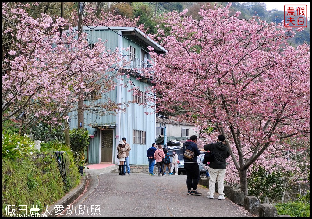 儷福花園山莊|桃園復興鄉拉拉山中巴陵櫻花道附近平價住宿/恩愛農場 @假日農夫愛趴趴照