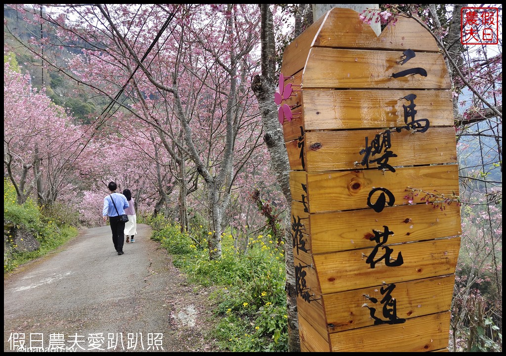 儷福花園山莊|桃園復興鄉拉拉山中巴陵櫻花道附近平價住宿/恩愛農場 @假日農夫愛趴趴照