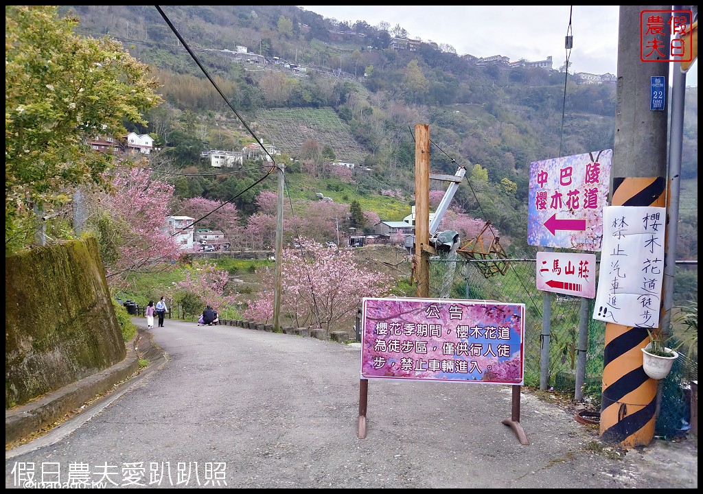 儷福花園山莊|桃園復興鄉拉拉山中巴陵櫻花道附近平價住宿/恩愛農場 @假日農夫愛趴趴照