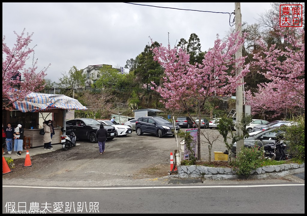 儷福花園山莊|桃園復興鄉拉拉山中巴陵櫻花道附近平價住宿/恩愛農場 @假日農夫愛趴趴照