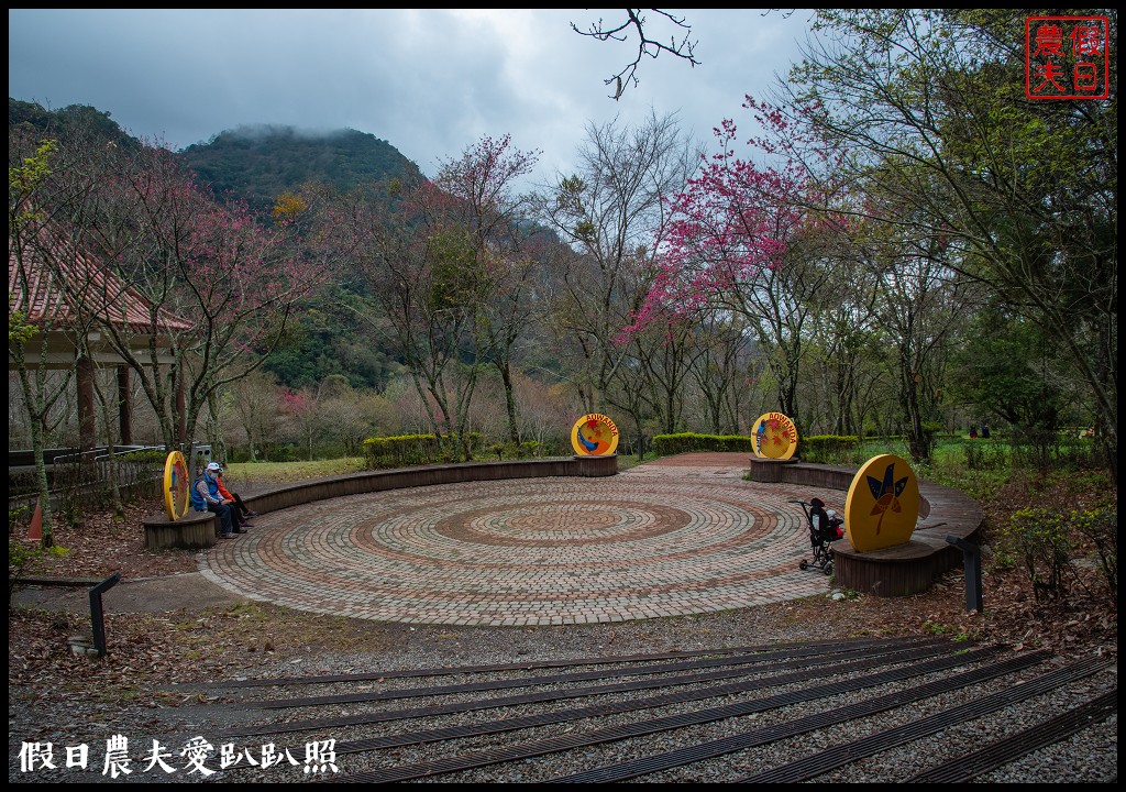 櫻花滿開|全台最美停車場就在奧萬大森林遊樂區 @假日農夫愛趴趴照