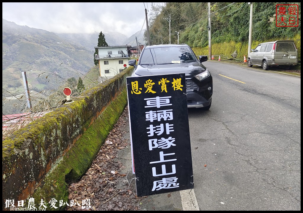 拉拉山恩愛農場櫻花盛開就像到了日本|花季期間交通管制措施 @假日農夫愛趴趴照