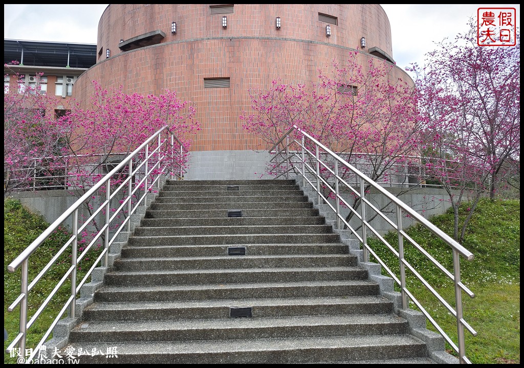 暨大行旅|隱藏在大學校園裡的高CP值住宿/櫻花季還可以在櫻花樹下野餐品茗 @假日農夫愛趴趴照