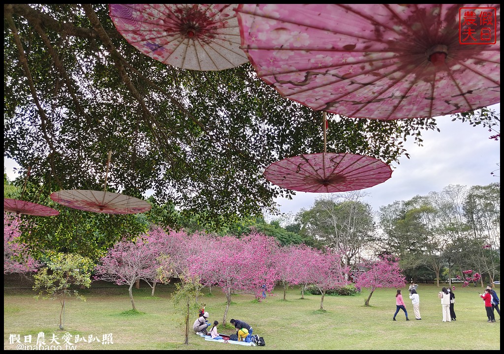 暨大行旅|隱藏在大學校園裡的高CP值住宿/櫻花季還可以在櫻花樹下野餐品茗 @假日農夫愛趴趴照