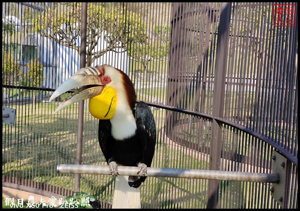 草屯九九峰動物樂園|佔地20公頃亞洲最大的國際級鳥園8/19正式開幕 @假日農夫愛趴趴照