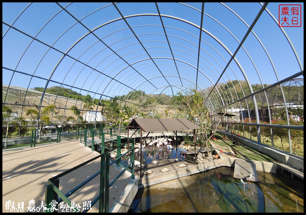 草屯九九峰動物樂園|佔地20公頃亞洲最大的國際級鳥園8/19正式開幕 @假日農夫愛趴趴照