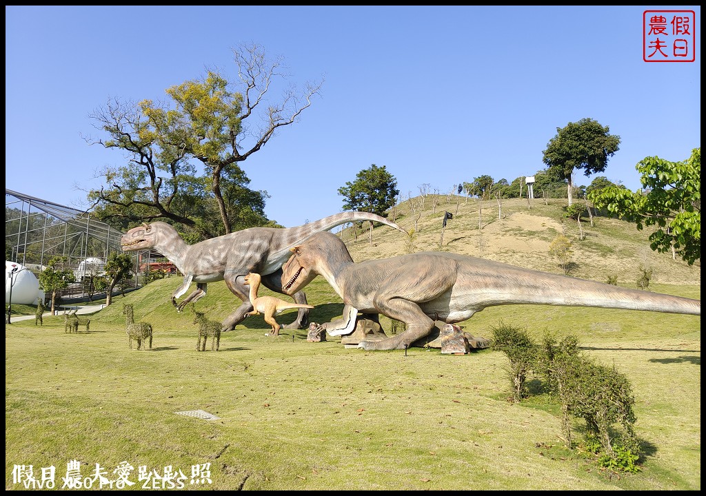 草屯九九峰動物樂園|佔地20公頃亞洲最大的國際級鳥園8/19正式開幕 @假日農夫愛趴趴照