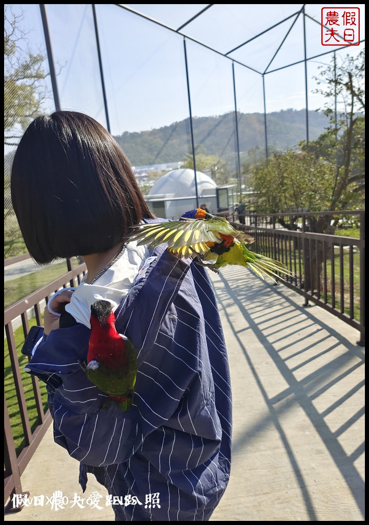 草屯九九峰動物樂園|佔地20公頃亞洲最大的國際級鳥園8/19正式開幕 @假日農夫愛趴趴照