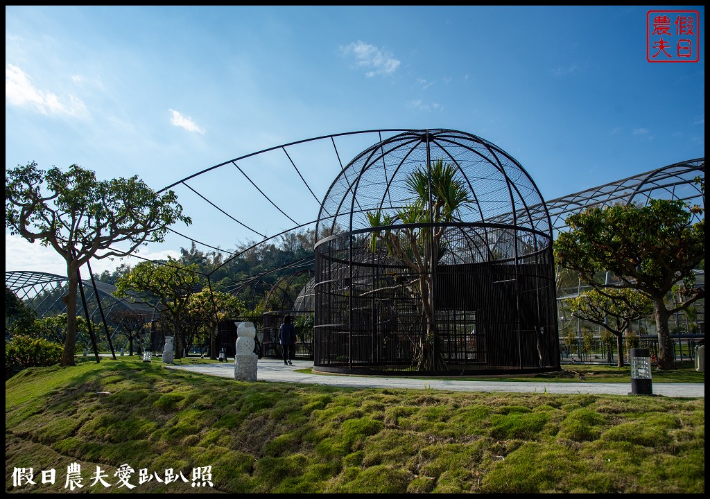 草屯九九峰動物樂園|佔地20公頃亞洲最大的國際級鳥園8/19正式開幕 @假日農夫愛趴趴照