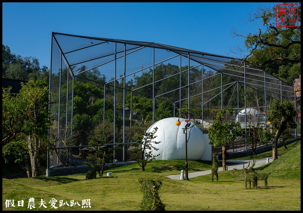 草屯九九峰動物樂園|佔地20公頃亞洲最大的國際級鳥園8/19正式開幕 @假日農夫愛趴趴照