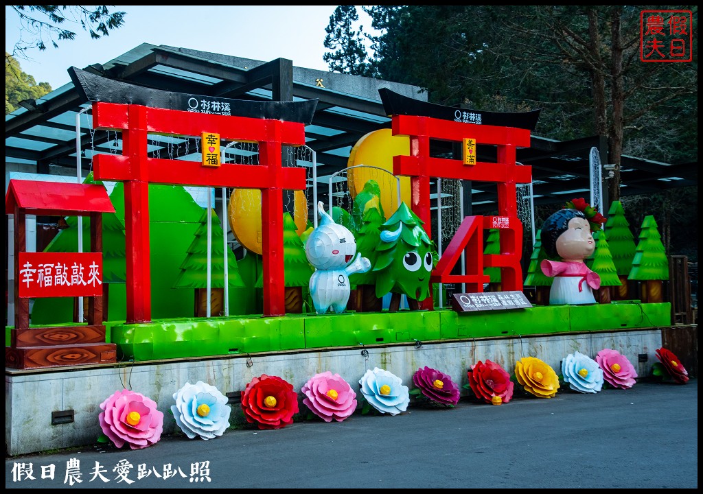 杉林溪粉色的椿寒櫻和白色霧社櫻盛開 晚上還有少見的神木螢導覽 @假日農夫愛趴趴照