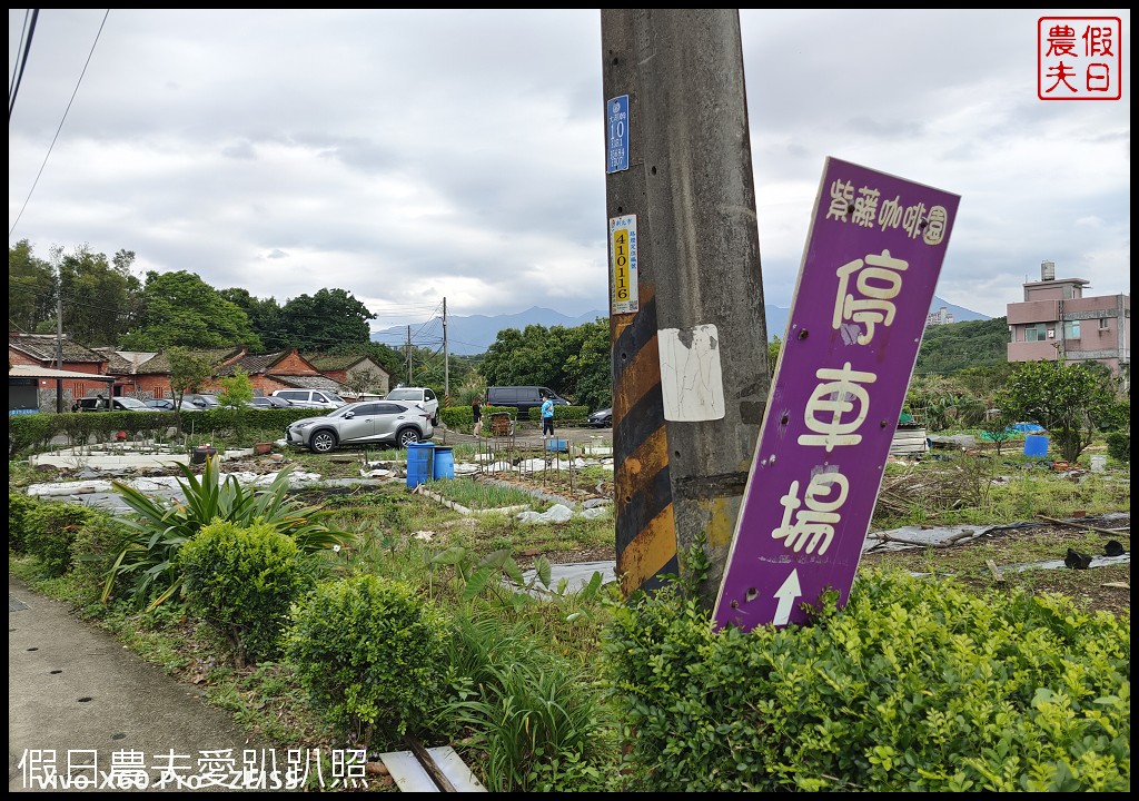 紫藤咖啡園一店屯山園區|台灣最大的紫藤花海盛開中|2024營業時間交通資訊 @假日農夫愛趴趴照