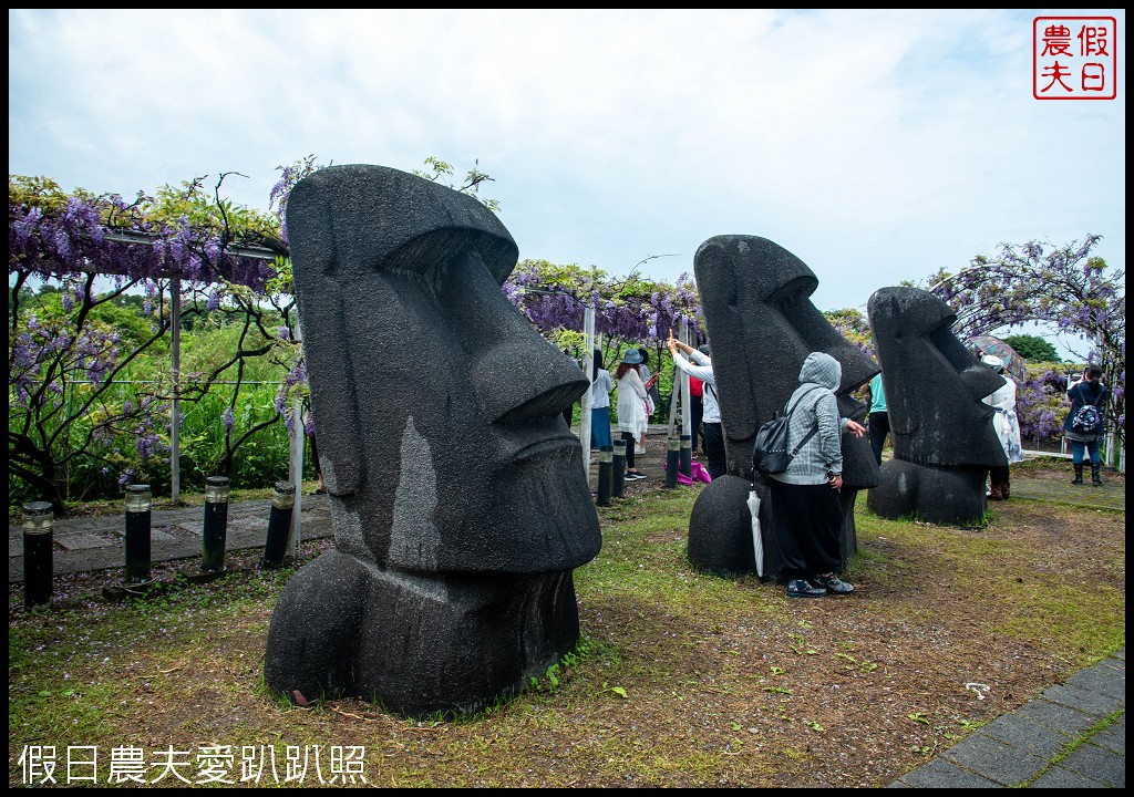 紫藤咖啡園一店屯山園區|台灣最大的紫藤花海盛開中|2024營業時間交通資訊 @假日農夫愛趴趴照