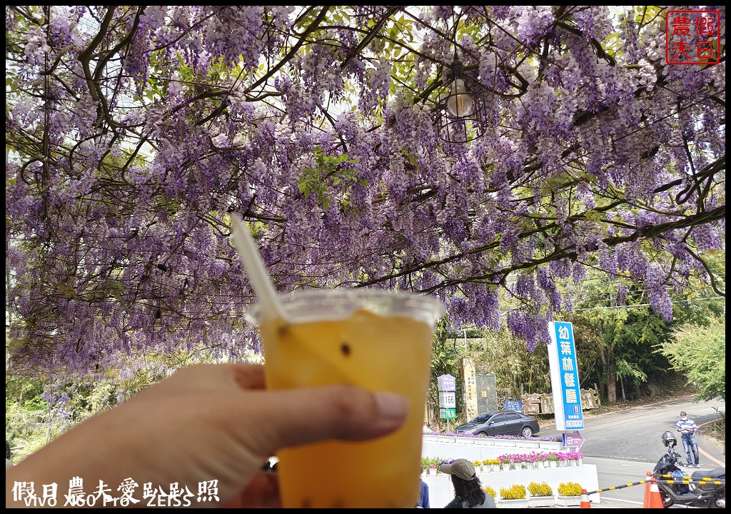 紫色浪漫風暴來襲|瑞里紫藤花季開始了一日遊怎麼玩 @假日農夫愛趴趴照