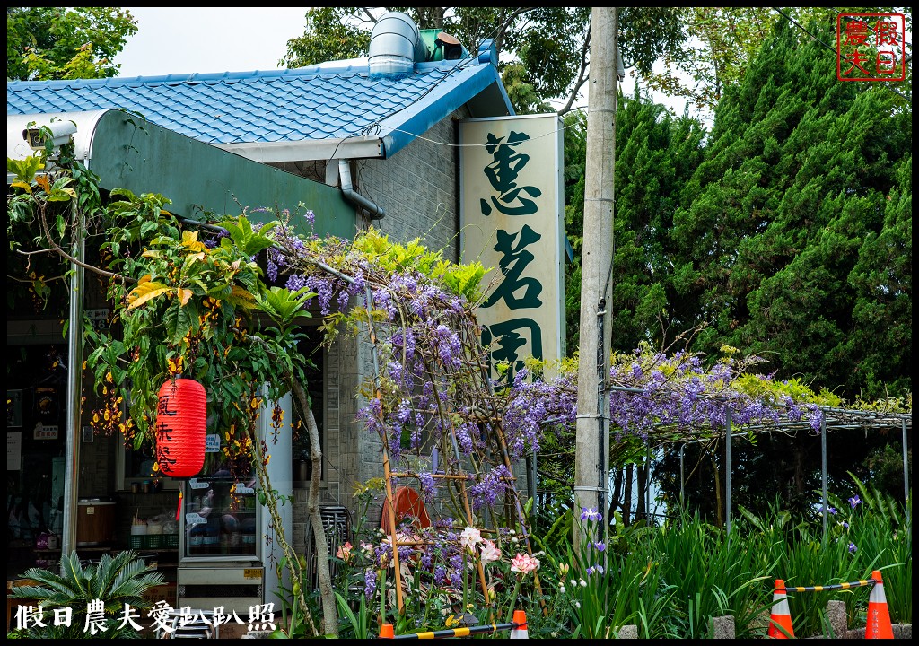 紫色浪漫風暴來襲|瑞里紫藤花季開始了一日遊怎麼玩 @假日農夫愛趴趴照