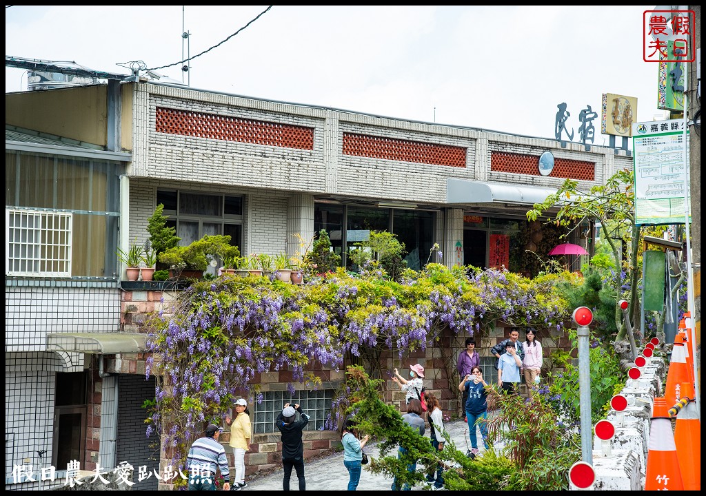 紫色浪漫風暴來襲|瑞里紫藤花季開始了一日遊怎麼玩 @假日農夫愛趴趴照