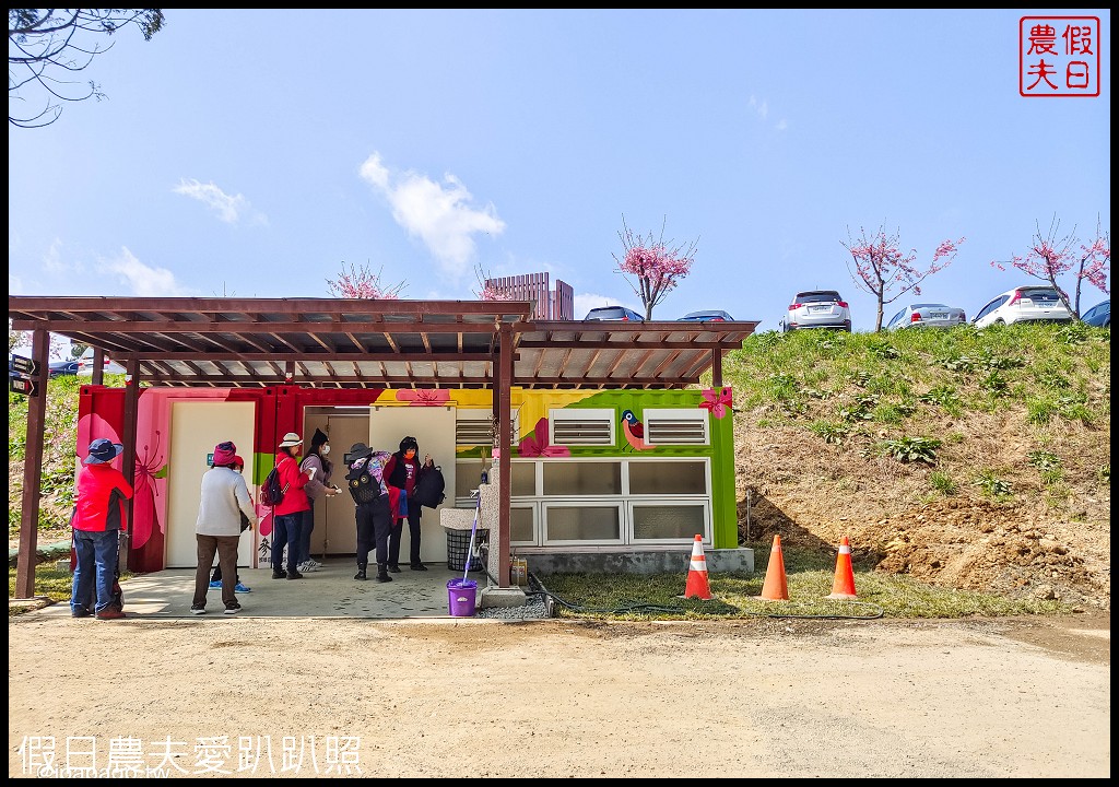 福壽山農場千櫻園富士櫻昭和櫻盛開|大島櫻準備接棒 @假日農夫愛趴趴照