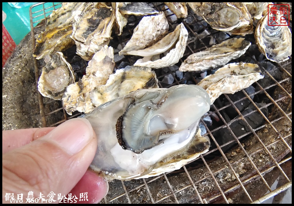 250元搭船遊覽台江內海登網仔寮汕再送你烤蚵吃到飽|永順號遊潟湖 @假日農夫愛趴趴照