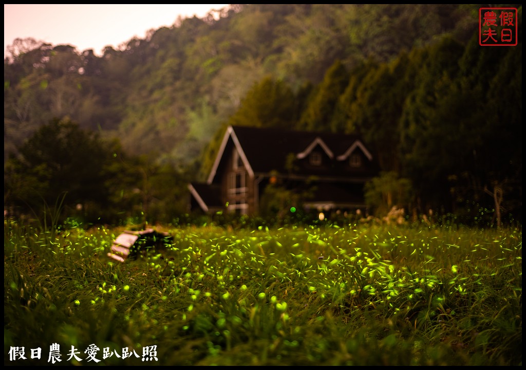 南投螢火蟲秘境|日月潭晶園休閒渡假村 超夢幻賞螢景點 @假日農夫愛趴趴照