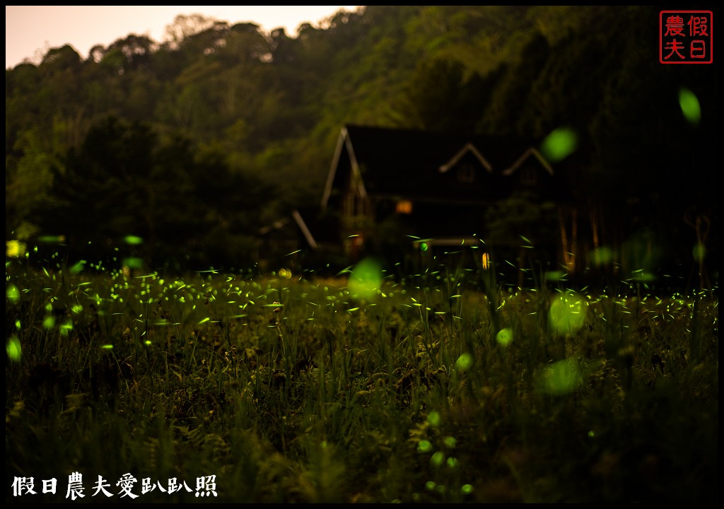 南投螢火蟲秘境|日月潭晶園休閒渡假村 超夢幻賞螢景點 @假日農夫愛趴趴照