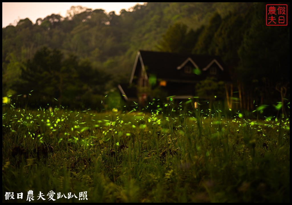 南投螢火蟲秘境|日月潭晶園休閒渡假村 超夢幻賞螢景點 @假日農夫愛趴趴照