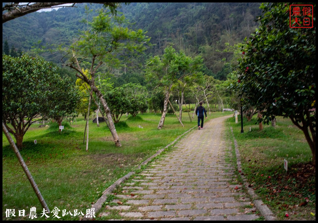 南投螢火蟲秘境|日月潭晶園休閒渡假村 超夢幻賞螢景點 @假日農夫愛趴趴照