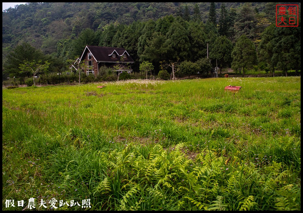 南投螢火蟲秘境|日月潭晶園休閒渡假村 超夢幻賞螢景點 @假日農夫愛趴趴照