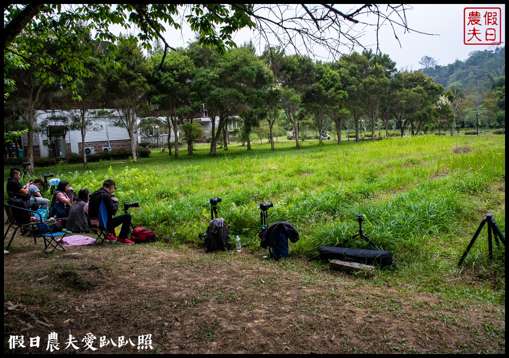 南投螢火蟲秘境|日月潭晶園休閒渡假村 超夢幻賞螢景點 @假日農夫愛趴趴照