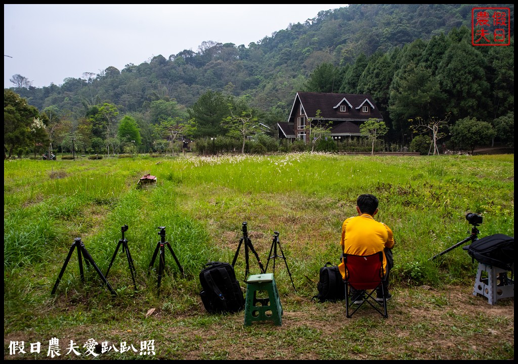 南投螢火蟲秘境|日月潭晶園休閒渡假村 超夢幻賞螢景點 @假日農夫愛趴趴照