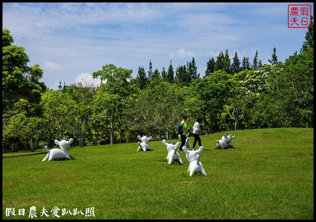 暨南大學花旗木季|同時可以欣賞桐花和藍花楹 @假日農夫愛趴趴照