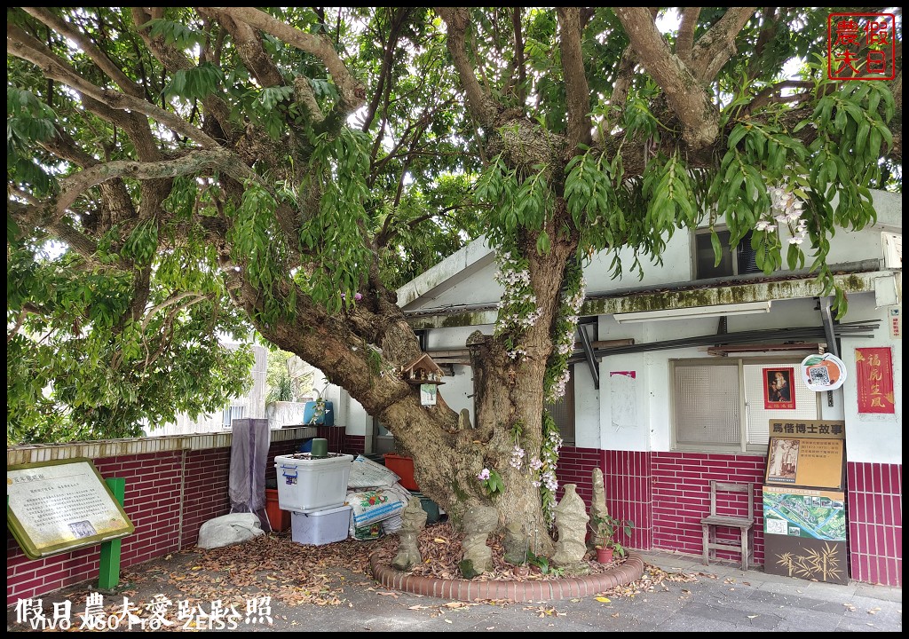 獅潭一日遊|洗衫坑×百年龍眼樹×日新飲食店 @假日農夫愛趴趴照