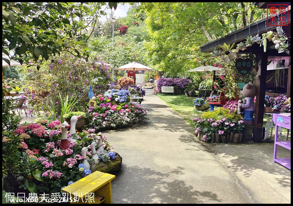 碧絡角花園咖啡民宿|快來山林裡的秘密花園賞繡球花 @假日農夫愛趴趴照