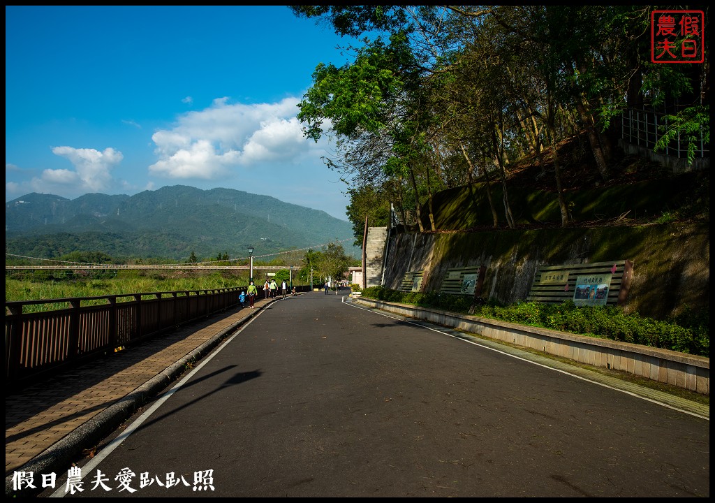 竹崎親水公園花旗木開了|順遊阿里山鐵路登山起點竹崎車站 @假日農夫愛趴趴照