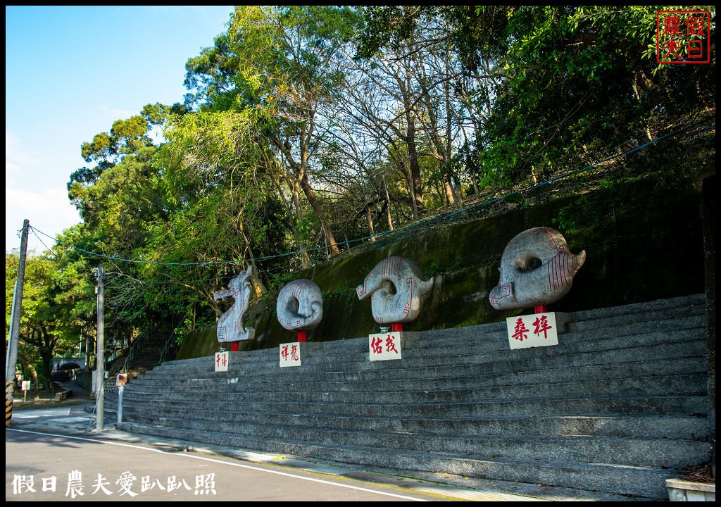 竹崎親水公園花旗木開了|順遊阿里山鐵路登山起點竹崎車站 @假日農夫愛趴趴照