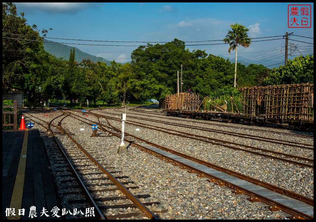 竹崎親水公園花旗木開了|順遊阿里山鐵路登山起點竹崎車站 @假日農夫愛趴趴照