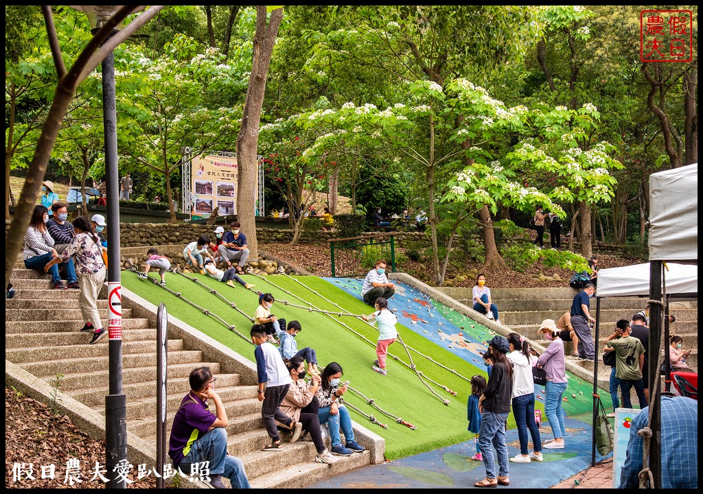 古坑荷苞山桐花公園|滿滿的白色花地毯等你來拍照 @假日農夫愛趴趴照