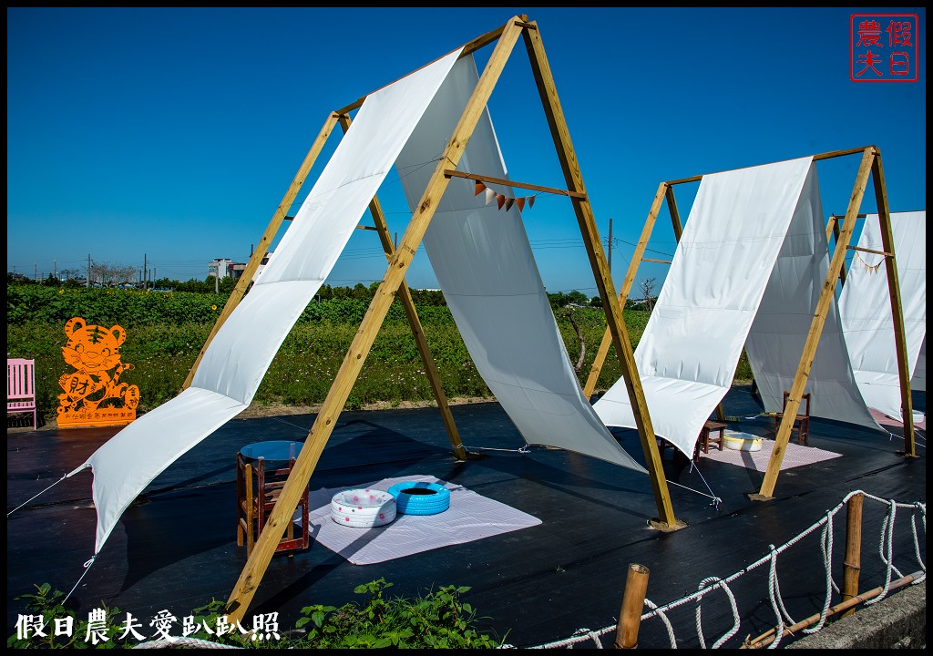 西港金砂里花旗木步道|賞花野餐逛市集好拍好玩 @假日農夫愛趴趴照